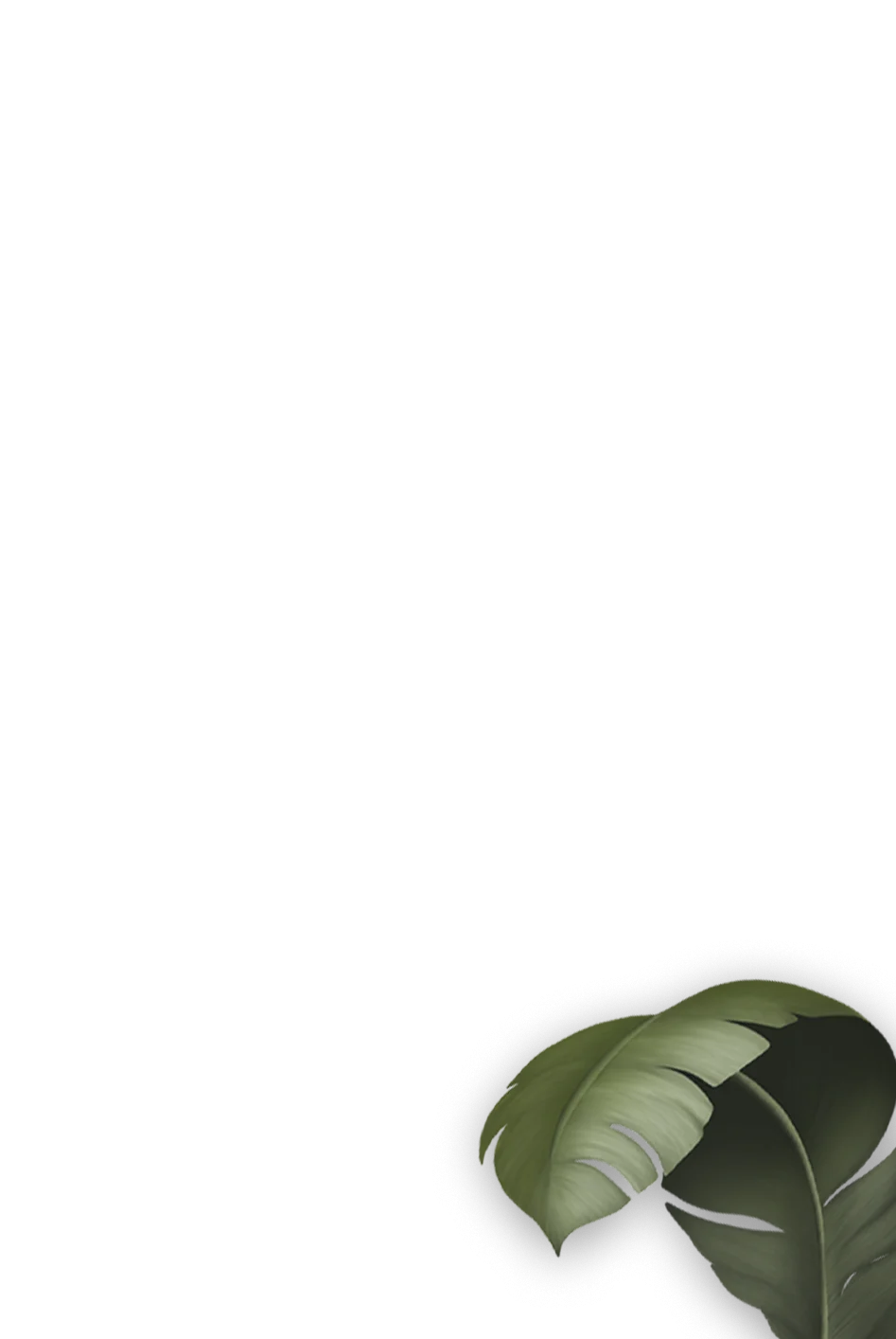 111-1.png