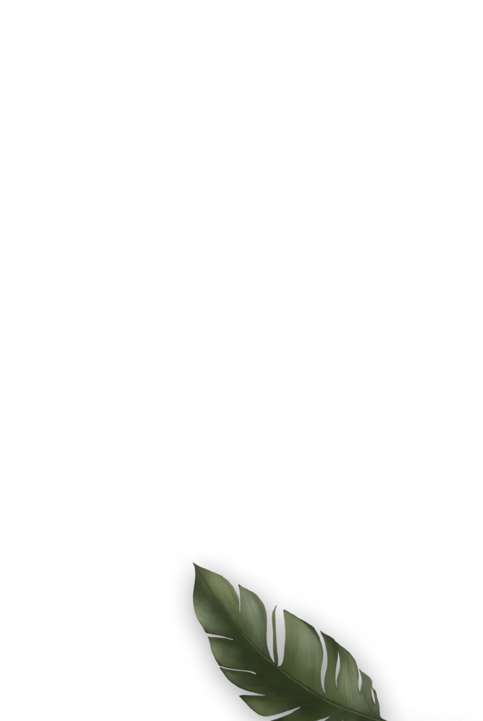 222-1.png