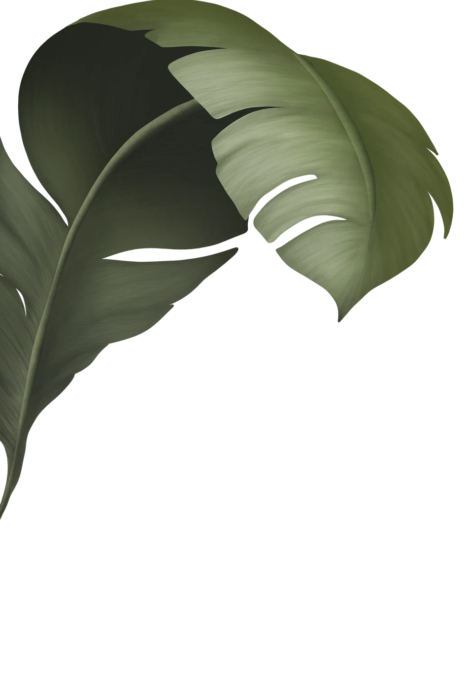 Capa-1.png